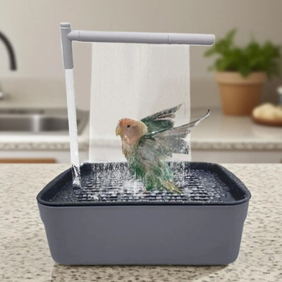 Automatic Bird Bath Fountain