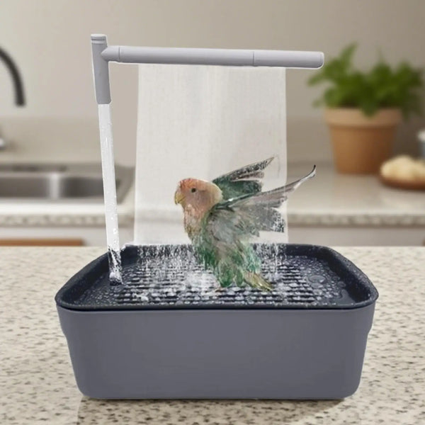 Automatic Bird Bath Fountain