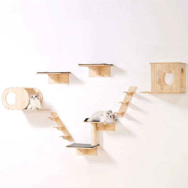 Wall-Mounted Cat Shelves Set
