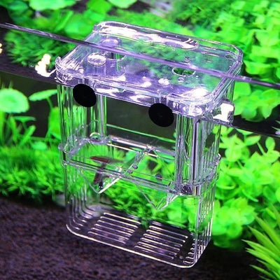 Aquarium Breeding & Isolation Box