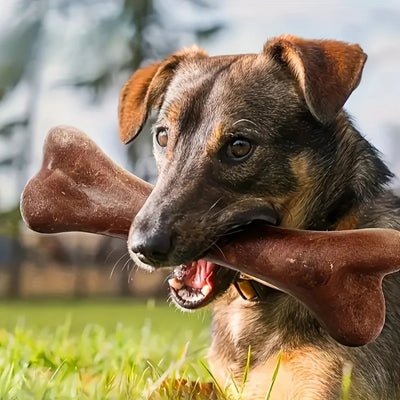 Beef-Flavoured Dog Chew Toy
