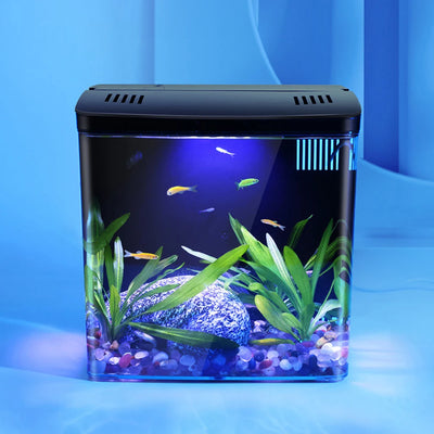 Mini Betta Fish Tank