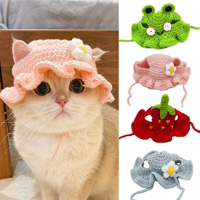 Cute Knitted Cat Hat