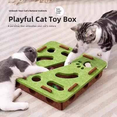Interactive Cat Puzzle Box
