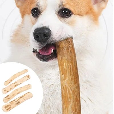 Coffee Wood Dog Chew Stick