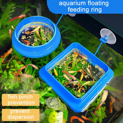 Floating Fish Feeding Ring