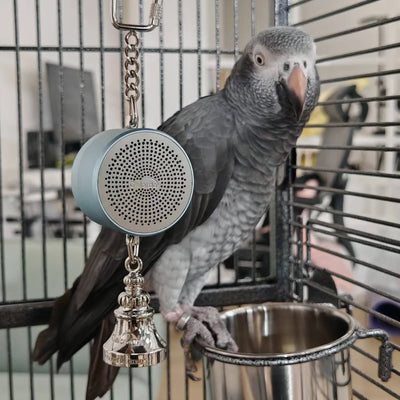 Talking Parrot Training Toy
