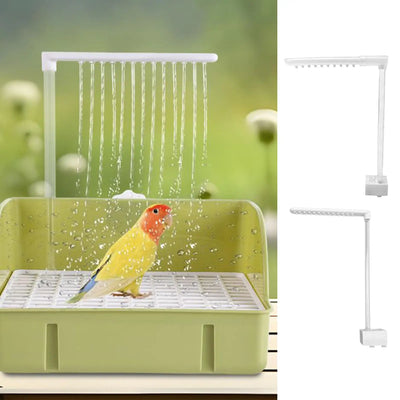 Running-Water Parrot Bath