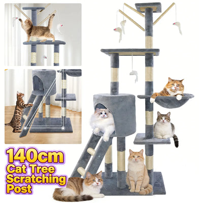 Kitten Activity Centre Cat Tree