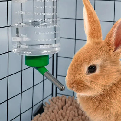 Small Animal Water Drinker (1L)