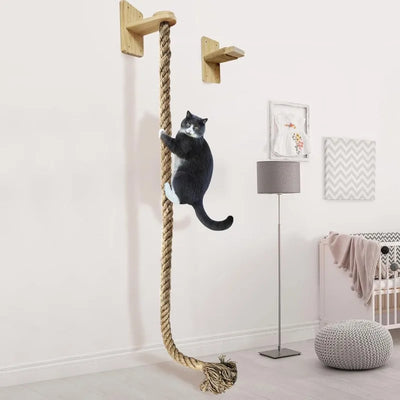 Cat Wall Climbing Sisal Posts