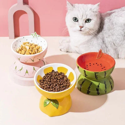 Raised Ceramic Cat Bowl