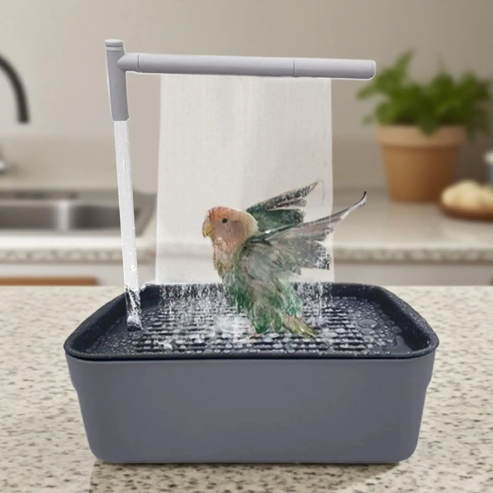Automatic Bird Bath Fountain