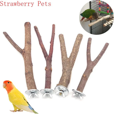 Raw Wood Parrot Branch Stand