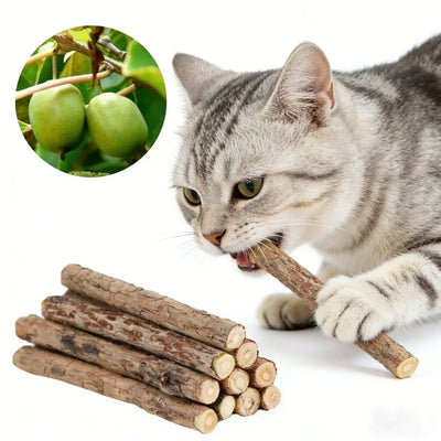 Natural Catnip Chew Sticks (20pc)
