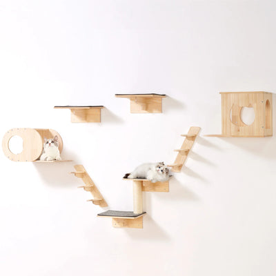 Wall-Mounted Cat Shelves Set