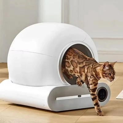 Smart Automatic Cat Litter Box