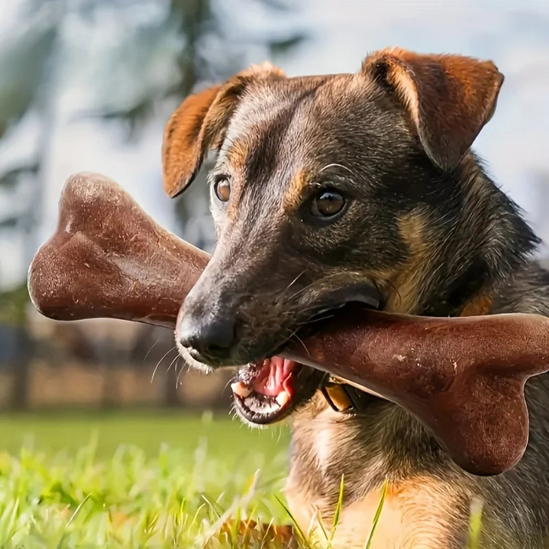 Beef-Flavoured Dog Chew Toy