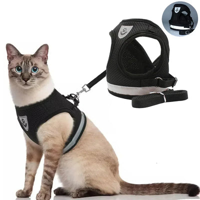 Escape-Proof Cat Harness & Leash Set