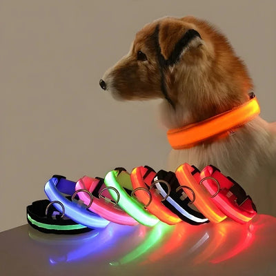 LED Light-Up Dog Safety Collar