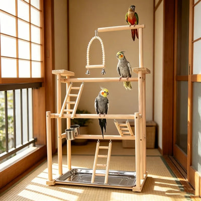 Parrot Play Stand & Activity Gym