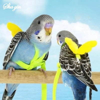 Adjustable Parrot Harness & Leash