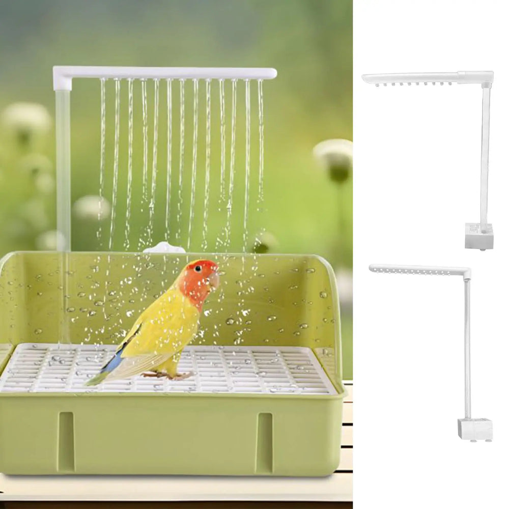 Running-Water Parrot Bath