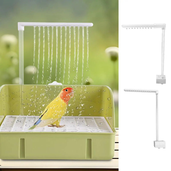 Running-Water Parrot Bath