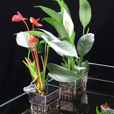 Aquarium Plant Cups (Set)