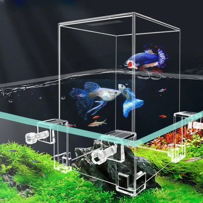 Self-Circulating Desktop Fish Tank