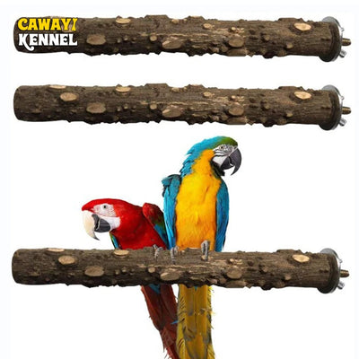 Beak & Claw Grooming Perch