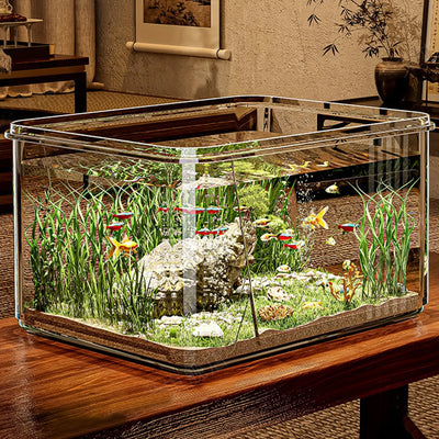 Mini Clear Desktop Fish Tank