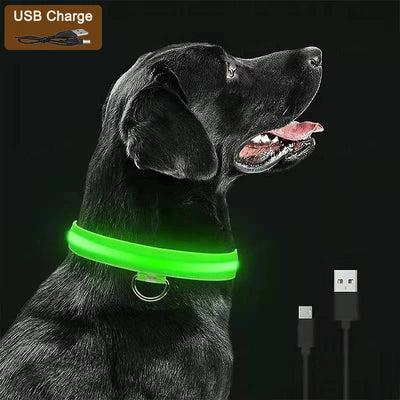 USB LED Light-Up Pet Collar